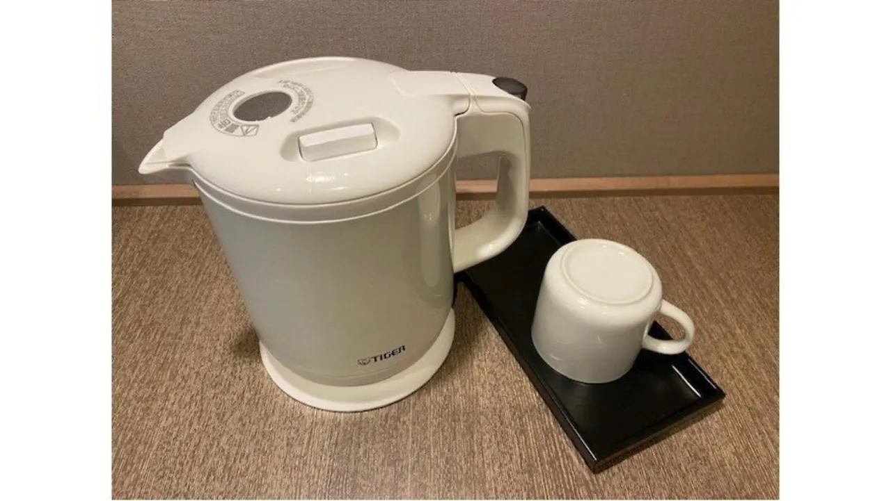 Via Inn Higashiginza Tokyo Hotel